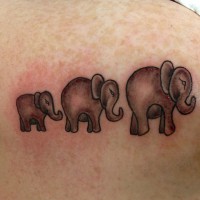 /album/photo-gallery-jon/a487949-10151610590854091-449558196-n-jpg/